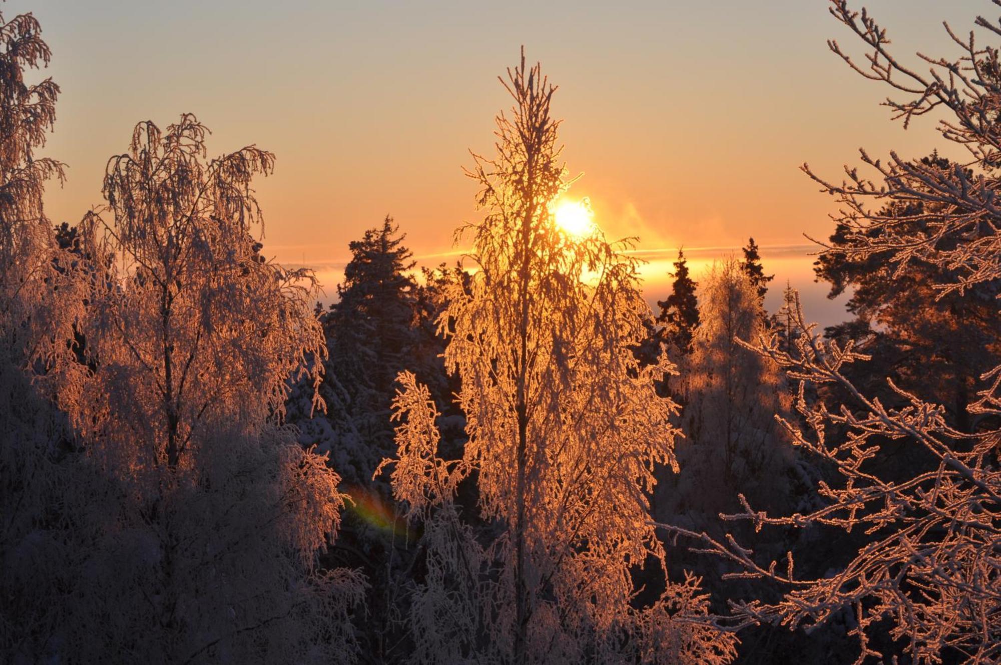 Hotel Vaihmalan Hovi Lempäälä Exteriér fotografie